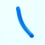 Bendy Worm Fidget
