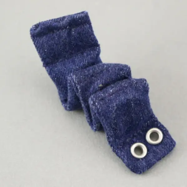 Magnet Worm