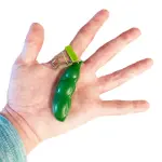 Fidget Bean